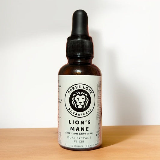 Lion's Mane Dual Extract